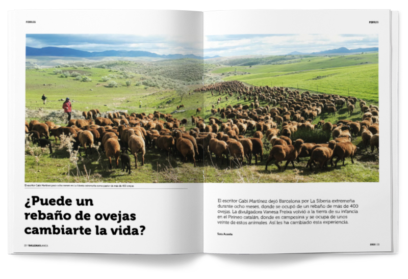 03_OVEJAS